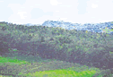 Hügelketten und Täler prägen das Grabenland. Im Hintergrund ist Straden zu sehen.