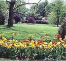 Sommer im Kurpark Bad Gleichenberg