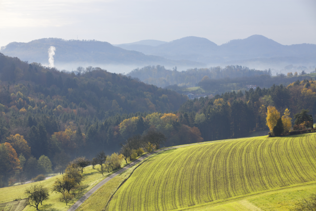 Die Marktgemeinde Ilz liegt eingebettet zwischen sanften Hügeln im Norden und Süden unmittelbar an der Abfahrt der A2 Fürstenfeld-Ungarn sowie an der Nord-Südverbindung Hartberg-Feldbach und somit am Eingang zum Steirischen Thermen- und Vulkanland. In die Landeshauptstadt Graz sind es 42 km, in die Bezirkshauptstadt Fürstenfeld 13 km.
An Schulen verfügt Ilz eine Volks- und Neue Mittelschule mit Nachmittagsbetreuung, sowie eine Musikschule. Höher bildende Schulen (AHS und HAK) werden in Fürstenfeld angeboten. Für die Kleinen steht ein Pfarrkindergarten, mit einer Ganztagesgruppe, sowie eine Kinderkrippe für Kinder unter 3 Jahren, zur Verfügung.
Die medizinische Versorgung ist mit zwei praktischen Ärzten, zwei Zahnärzten, physiotherapeutischen Einrichtungen und einer Apotheke gesichert. Mehrere Lebensmittelmärkte und zahlreiche Fachgeschäfte decken den täglichen Bedarf der Bewohner und Gäste.
Für die Besucher sind als Sehenswürdigkeit zu empfehlen:
    die dem heiligen Jakobus geweihte Pfarrkirche
    das Heimatmuseum, welches in fünf Schauräumen und einem Schaustollen mit einer originalen Grubenlok einen Überblick über die Gemeinde, Handwerk, Landwirtschaft und Kohlebergbau von Ilz und Umgebung gibt. 
Weiters stehen eine moderne Freizeitanlage mit Fußballstadion, Beach-Volleyballplatz, Fun-Court, Skaterpark, Kinderspielplatz, zwei Reitställe und vier Tennisplätze zur Verfügung. 
Die drei Schlösser Kalsdorf, Benndorf und Feistritz erreicht man gemütlich über Wander- und Radwanderwege. Im Frühjahr, wenn die Apfelbäume in ihrer Blütenpracht erstrahlen und im Herbst, wenn sich die unzähligen Apfelbäume unter der Last der reifen Äpfel biegen, zeigt sich die Region bei einer Wanderung auf dem "Ilzer Rosenapfelweg" in ihrer vollen Pracht. Mehrere Teichanlagen laden zum Ausruhen ein. Gemütliche Gaststätten, Buschenschenken und eine urige Mostschenke verwöhnen mit kulinarischen Köstlichkeiten.