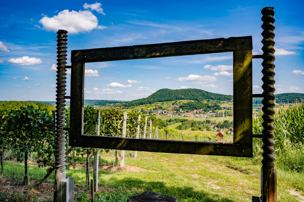 Tieschen wurde 1998 zur Marktgemeinde erhoben.
Die liebevolle Neugestaltung des Ortes wurde mit dem Ortserneuerungspreis 2000 des Landes Steiermark ausgezeichnet. Ebenfalls erhielten wir 2004 einen „Sonderpreis für die schönste Ortsdurchfahrt“. 2005 wurden wir kinder- und jugendfreundliche Gemeinde. 2006 feierten wir bereits 600 Jahre Tieschen, wo uns Bundespräsident Dr. Heinz Fischer mit seinem Besuch sehr ehrte. 2007 folgte die Krönung der steirischen Weinkönigin Sigrid I. aus Tieschen. 2008 war Tieschen 10 Jahre Marktgemeinde. 2009 wurde das größte Bauprojekt der Geschichte, das Jugend & Familiengästehaus „Land erleben“ eröffnet.
Unsere Marktgemeinde Tieschen liegt im Vulkanland im Südoststeirischen Thermenland zwischen Bad Radkersburg und Bad Gleichenberg, eingebettet in eine hügelige Weinregion mit gesunder, umweltfreundlicher Naturlandschaft und einem mild-warmen Klima. Bereits im 4. Jt. v. Chr. war unser Königsberg als erloschener Vulkan besiedelt. Ausgrabungsfunde von einer Höhensiedlung, sowie Hügelgräber zeigen eine bewegte Geschichte und dass sich Menschen schon lange hier wohl fühlen. Auch in der Gegenwart erlebt man Vulkanausbrüche in Form von kulturellen, gesellschaftlichen und sportlichen Höhepunkten und Events. Erholung findet man im familienfreundlichen Freibad mit Beachvolleyball-, Tennis-, und Kinderspielplatz, sowie als Wanderer oder Radfahrer in unverfälschter, ruhiger Natur. In Buschenschenken und Gastronomiebetrieben verwöhnen wir unsere Gäste mit kulinarischen Freuden aus naturverbundener Landwirtschaft und Spitzenweinen, gekeltert aus besten, auf Vulkanboden gereiften Trauben.
Für Ihren Urlaub in Tieschen entsprechen wir von Privatzimmern, Urlaub am Bauernhof, Appartements bis zu gehobenen Nächtigungsmöglichkeiten gerne Ihren Wünschen. Ich lade Sie ein, die Marktgemeinde Tieschen zu besuchen und freue mich schon jetzt darauf, Sie bei uns auf das Herzlichste begrüßen zu dürfen.
 
Bürgermeister Martin Weber
 
 