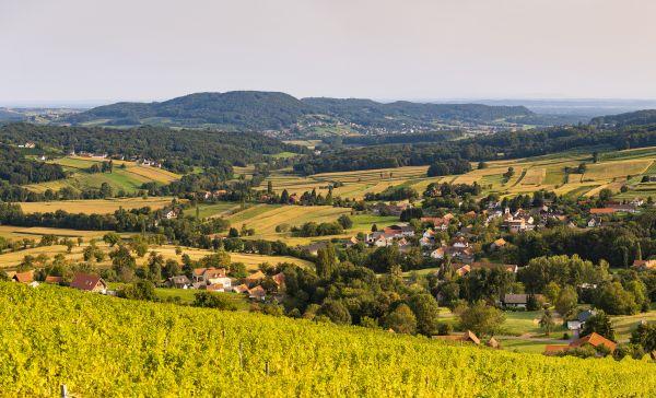 Modellregion für Bioökonomie und Kreislaufwirtschaft